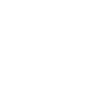 AVM Logo