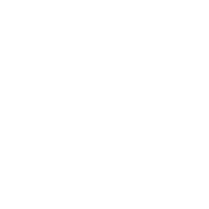 motorola Logo